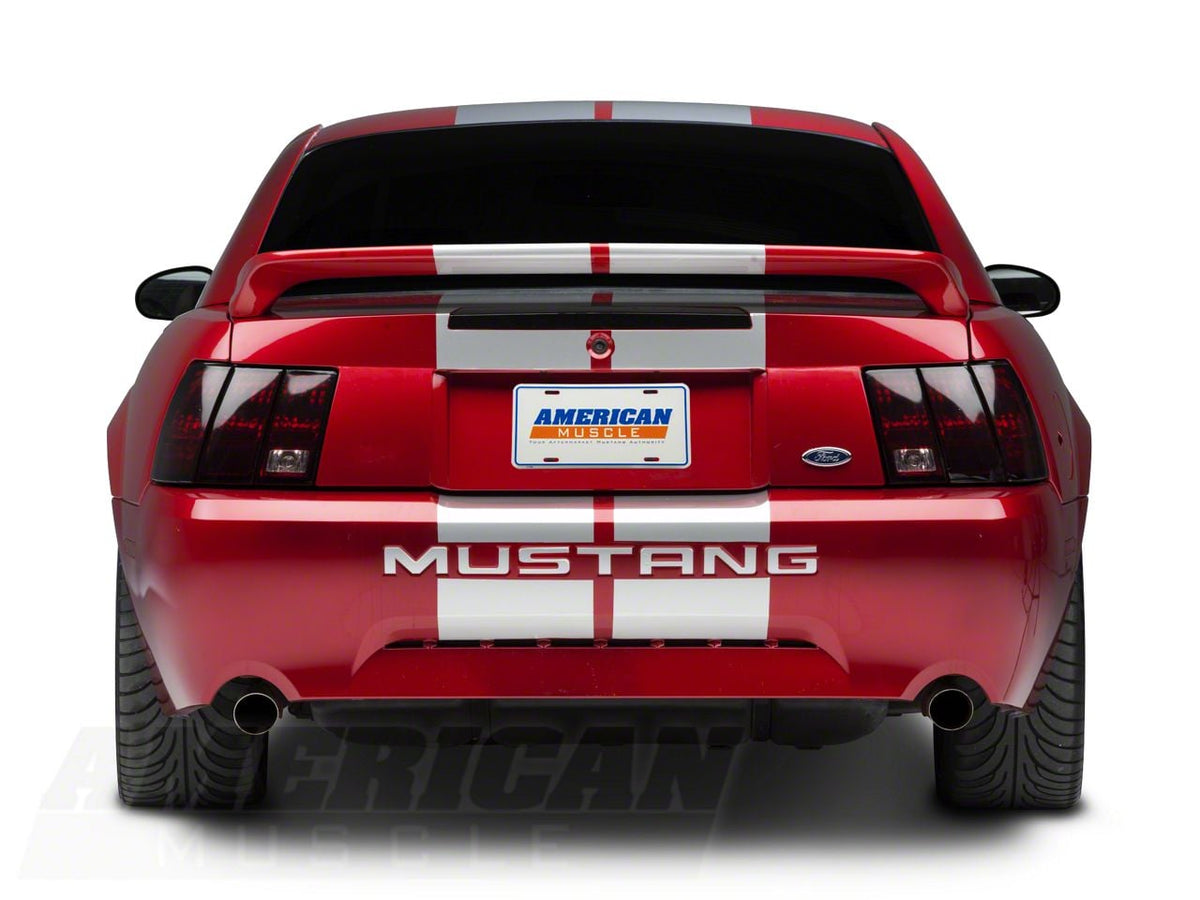 SEC10 GT500 Style Stripes; Silver; 10-Inch (94-04 Mustang)