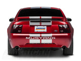SEC10 GT500 Style Stripes; Silver; 10-Inch (94-04 Mustang)