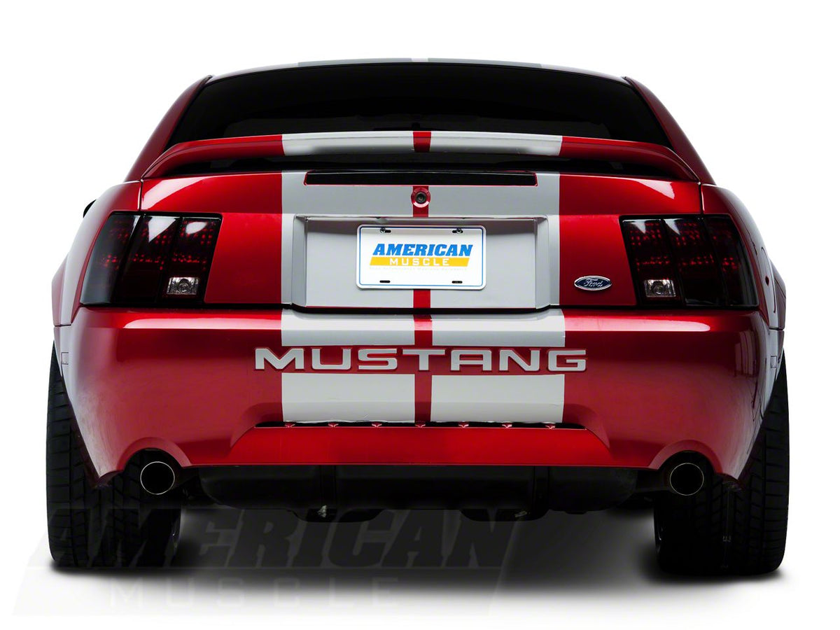SEC10 Lemans Stripes; Silver; 12-Inch (94-04 Mustang)