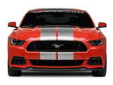 SEC10 GT500 Style Stripes; Silver; 10-Inch (15-23 Mustang)
