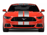 SEC10 Lemans Stripes; Silver; 8-Inch (15-23 Mustang)