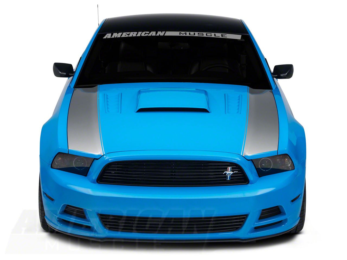 SEC10 Outer Hood Stripes; Silver (13-14 Mustang)