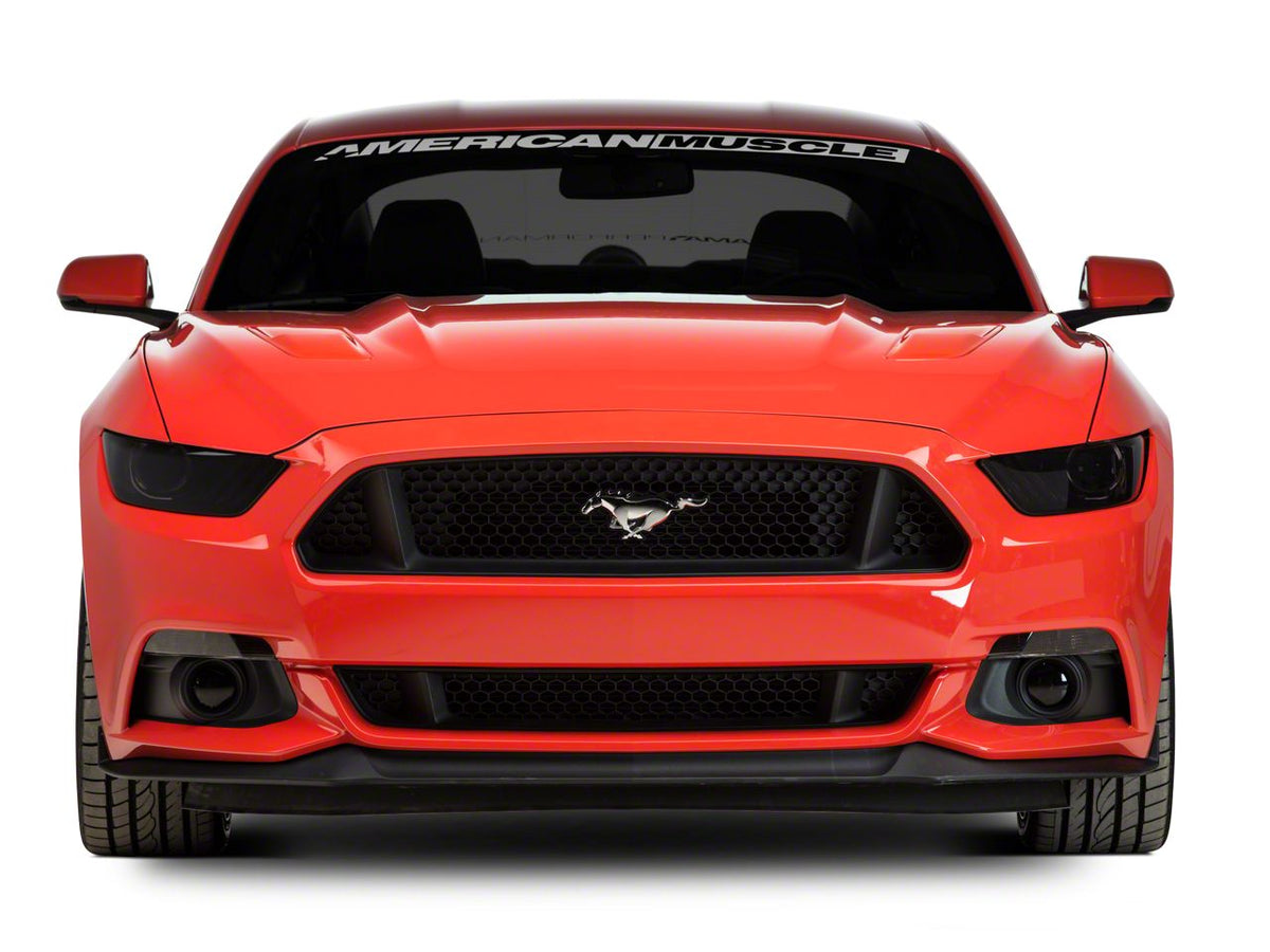 SEC10 Light Tint Kit; Smoked (15-17 Mustang)