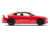 SEC10 Tail Graphic; White (11-23 Charger)