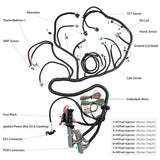 LS T56 DBW STANDALONE WIRING HARNESS or Non-Electric Tran 4.8 5.3 6.0