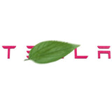 Tailgate Lettered Rear Logo Replacement For Tesla Model 3/Y