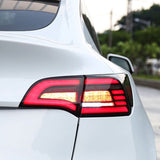 TESERY Eagle Eye Taillight Upgrade for Model 3/Y