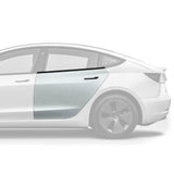 2018-2023 Tesla Model 3 OEM Style Rear Door Set - Vicrez