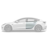 2018-2023 Tesla Model 3 OEM Style Rear Door Set - Vicrez