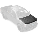 2015-2020 Ford F150 Replacement Hood - Vicrez