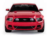 2010-2014 Ford Mustang V3R Style Front Bumper Lip Splitter - Vicrez