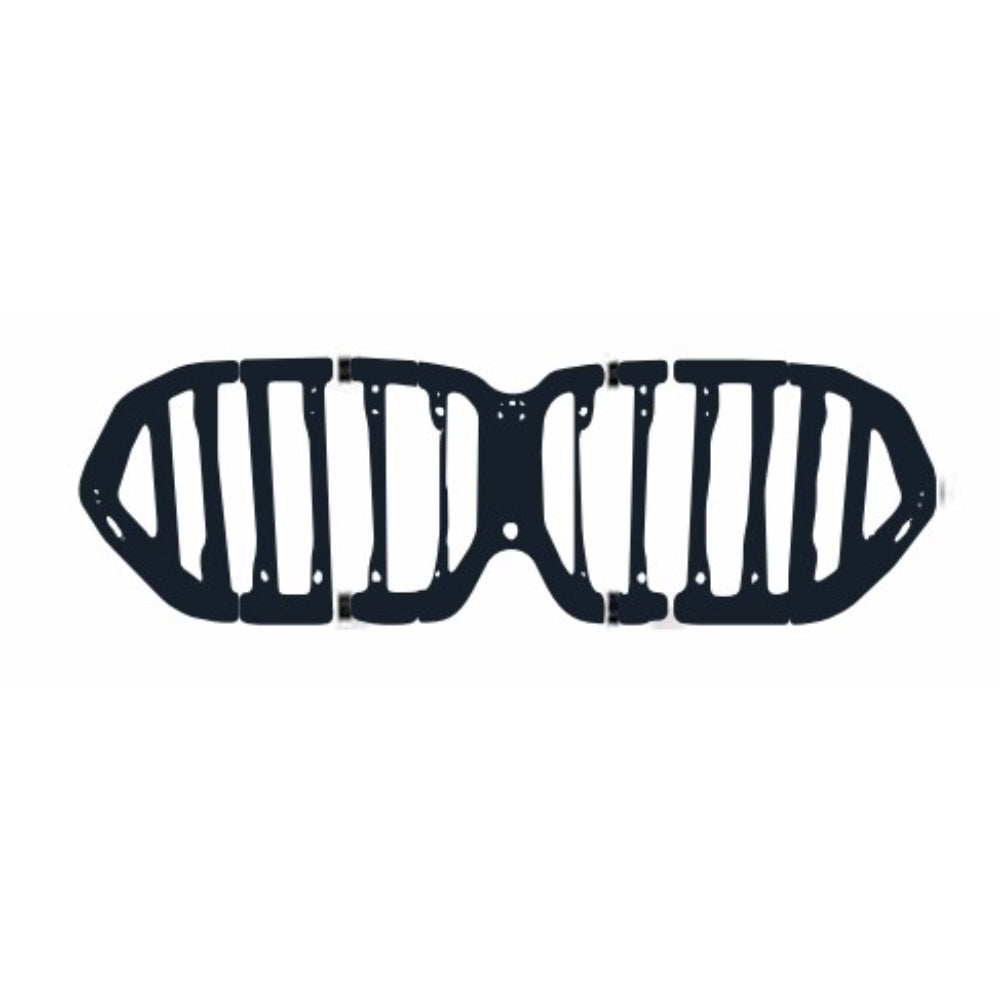 2020-2025 BMW X6 M-Performance Style Grille - Vicrez