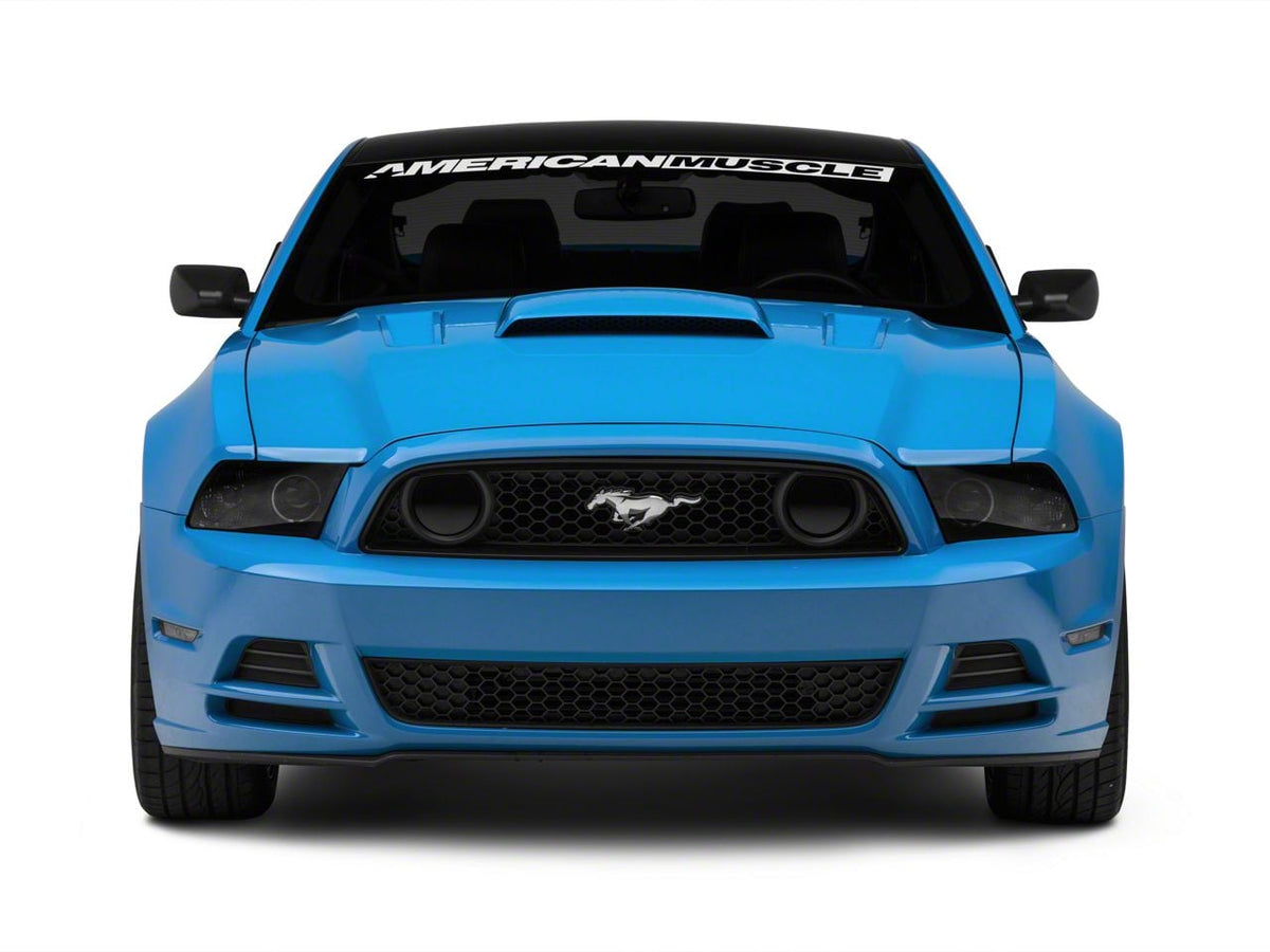 Raxiom Axial Series Hid Bulb Upgrade; 6000k (08-23 Mustang W/ Factory Style D3s Bulb)