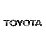 TOYOTA Topographic Rear Liftgate Emblem Inlays - 2025+ 4Runner